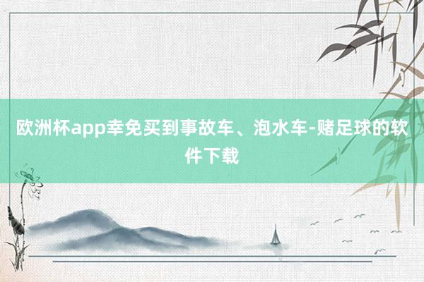 欧洲杯app幸免买到事故车、泡水车-赌足球的软件下载