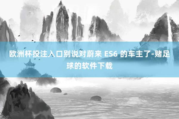 欧洲杯投注入口别说对蔚来 ES6 的车主了-赌足球的软件下载