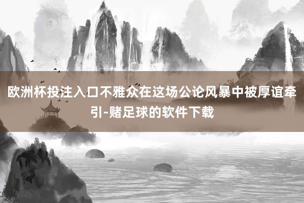 欧洲杯投注入口不雅众在这场公论风暴中被厚谊牵引-赌足球的软件下载