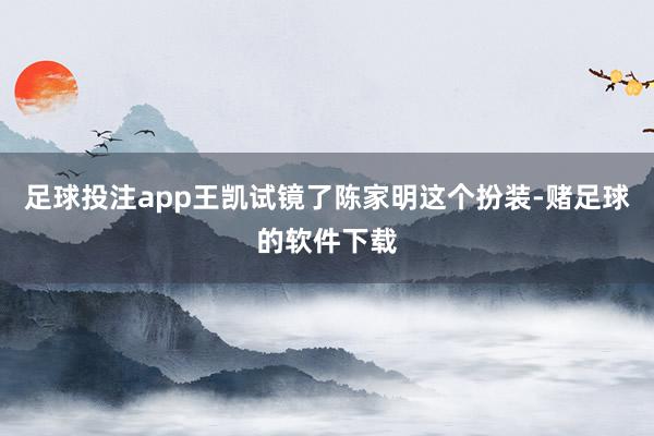 足球投注app王凯试镜了陈家明这个扮装-赌足球的软件下载