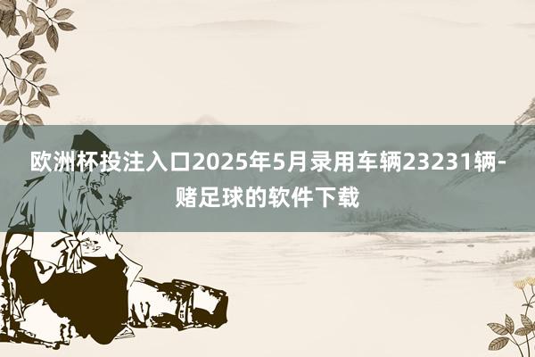 欧洲杯投注入口2025年5月录用车辆23231辆-赌足球的软件下载