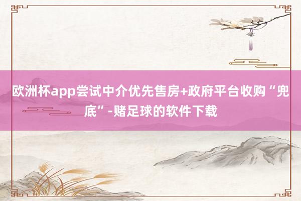欧洲杯app尝试中介优先售房+政府平台收购“兜底”-赌足球的软件下载