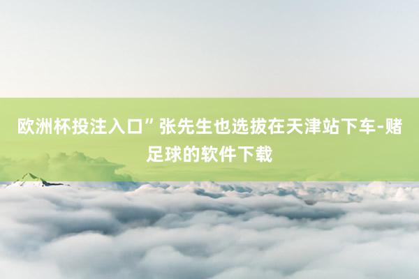 欧洲杯投注入口”张先生也选拔在天津站下车-赌足球的软件下载