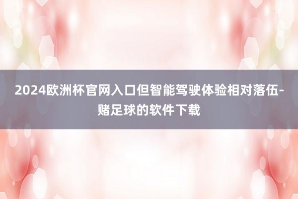 2024欧洲杯官网入口但智能驾驶体验相对落伍-赌足球的软件下载