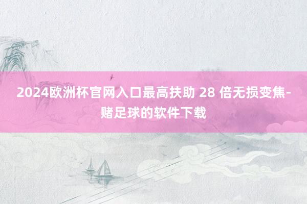 2024欧洲杯官网入口最高扶助 28 倍无损变焦-赌足球的软件下载