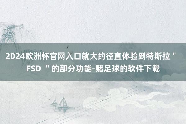 2024欧洲杯官网入口就大约径直体验到特斯拉＂ FSD ＂的部分功能-赌足球的软件下载