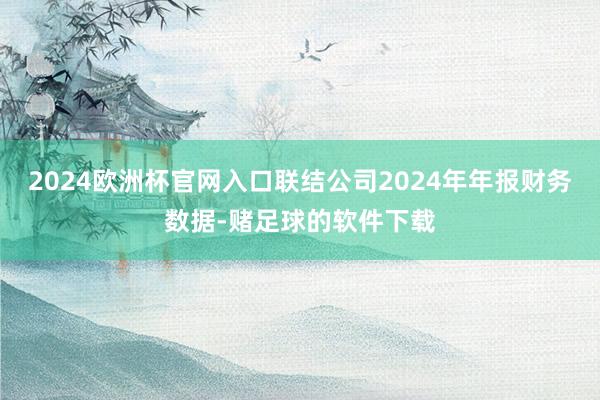 2024欧洲杯官网入口联结公司2024年年报财务数据-赌足球的软件下载