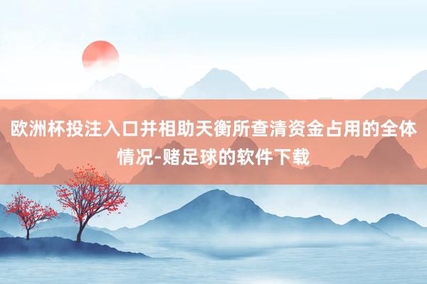 欧洲杯投注入口并相助天衡所查清资金占用的全体情况-赌足球的软件下载