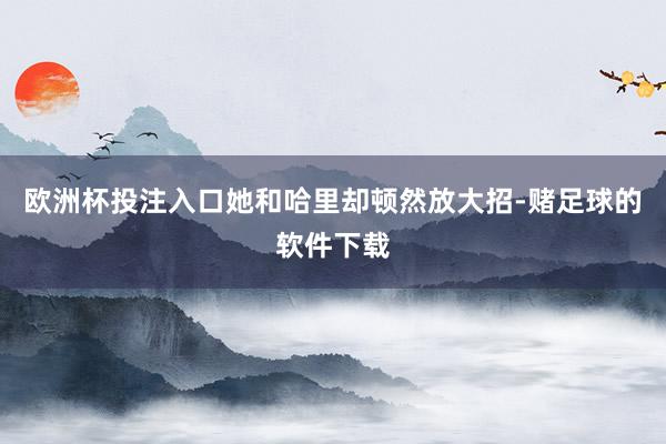 欧洲杯投注入口她和哈里却顿然放大招-赌足球的软件下载