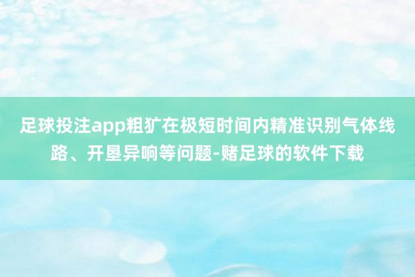 足球投注app粗犷在极短时间内精准识别气体线路、开垦异响等问题-赌足球的软件下载