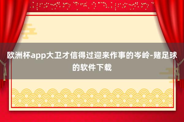 欧洲杯app大卫才信得过迎来作事的岑岭-赌足球的软件下载