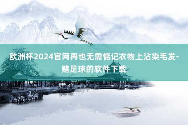 欧洲杯2024官网再也无需惦记衣物上沾染毛发-赌足球的软件下载