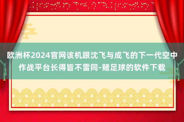 欧洲杯2024官网该机跟沈飞与成飞的下一代空中作战平台长得皆不雷同-赌足球的软件下载