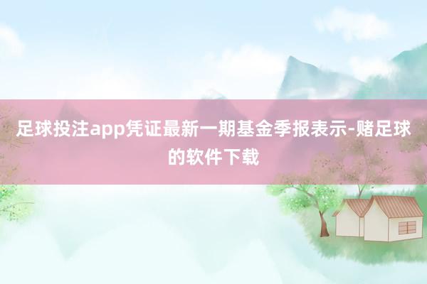足球投注app凭证最新一期基金季报表示-赌足球的软件下载