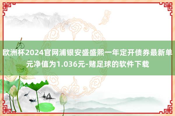 欧洲杯2024官网浦银安盛盛熙一年定开债券最新单元净值为1.036元-赌足球的软件下载