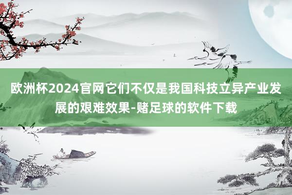 欧洲杯2024官网它们不仅是我国科技立异产业发展的艰难效果-赌足球的软件下载