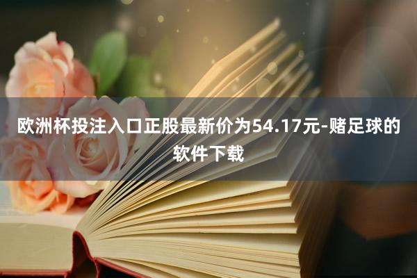 欧洲杯投注入口正股最新价为54.17元-赌足球的软件下载