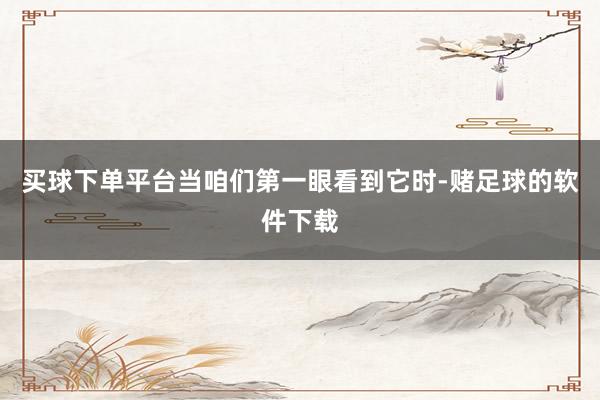 买球下单平台当咱们第一眼看到它时-赌足球的软件下载