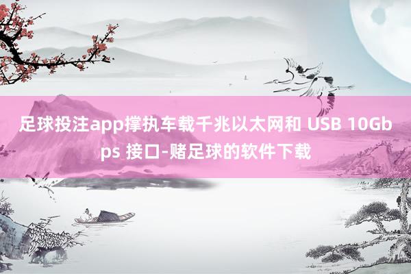 足球投注app撑执车载千兆以太网和 USB 10Gbps 接口-赌足球的软件下载