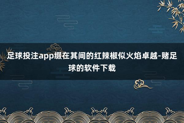 足球投注app缀在其间的红辣椒似火焰卓越-赌足球的软件下载