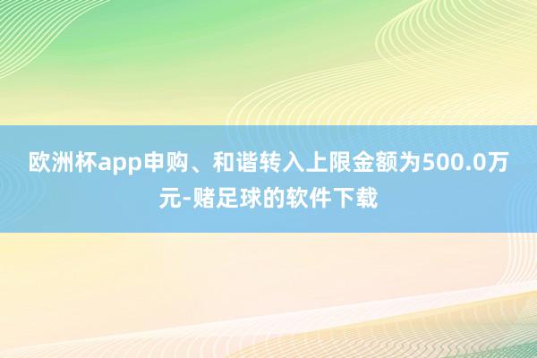 欧洲杯app申购、和谐转入上限金额为500.0万元-赌足球的软件下载