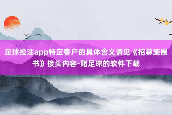 足球投注app特定客户的具体含义请见《招募施展书》接头内容-赌足球的软件下载