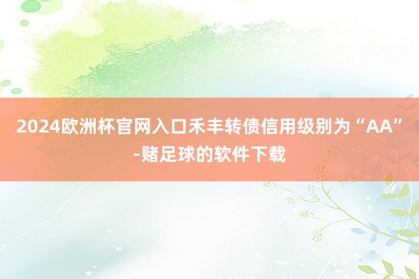 2024欧洲杯官网入口禾丰转债信用级别为“AA”-赌足球的软件下载