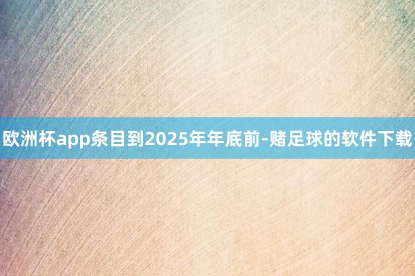 欧洲杯app条目到2025年年底前-赌足球的软件下载