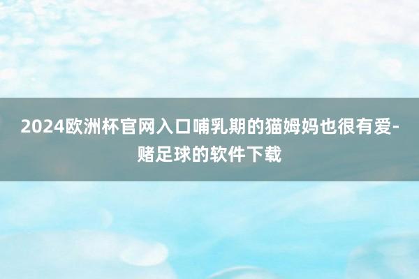 2024欧洲杯官网入口哺乳期的猫姆妈也很有爱-赌足球的软件下载