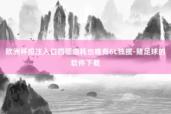 欧洲杯投注入口四驱油耗也唯有6L独揽-赌足球的软件下载