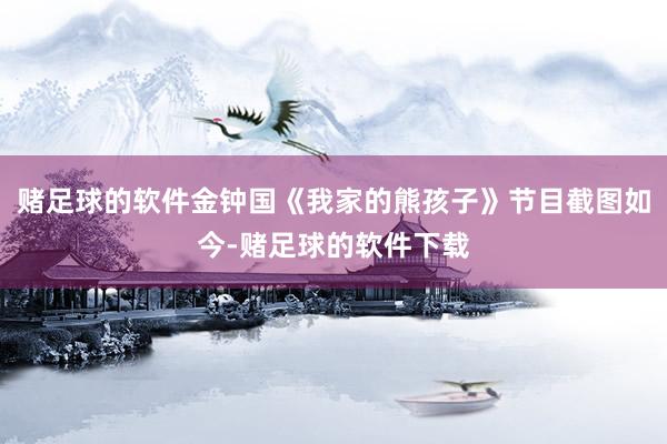 赌足球的软件金钟国《我家的熊孩子》节目截图如今-赌足球的软件下载