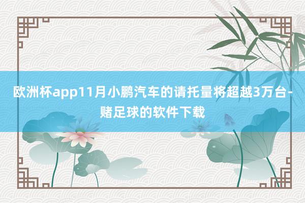 欧洲杯app11月小鹏汽车的请托量将超越3万台-赌足球的软件下载
