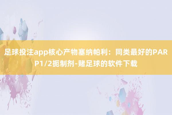 足球投注app核心产物塞纳帕利：同类最好的PARP1/2扼制剂-赌足球的软件下载