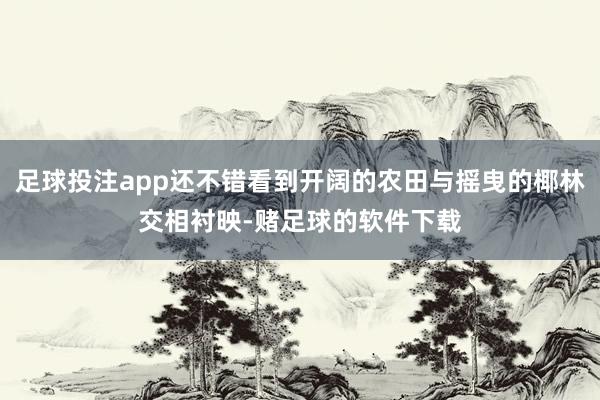 足球投注app还不错看到开阔的农田与摇曳的椰林交相衬映-赌足球的软件下载