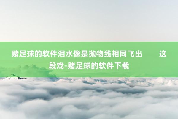 赌足球的软件泪水像是抛物线相同飞出        这段戏-赌足球的软件下载