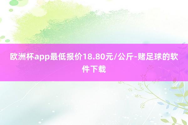 欧洲杯app最低报价18.80元/公斤-赌足球的软件下载