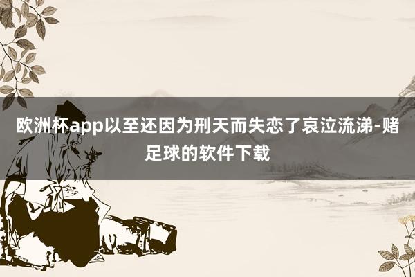 欧洲杯app以至还因为刑天而失恋了哀泣流涕-赌足球的软件下载
