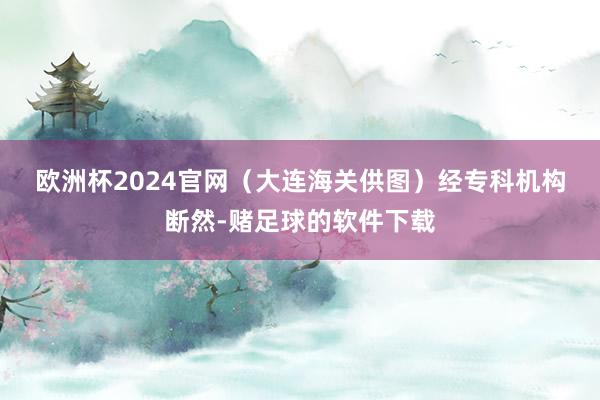欧洲杯2024官网(大连海关供图) 经专科机构断然-赌足球的软件下载