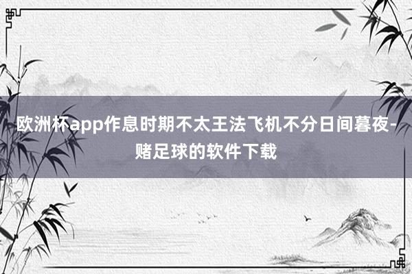 欧洲杯app作息时期不太王法飞机不分日间暮夜-赌足球的软件下载