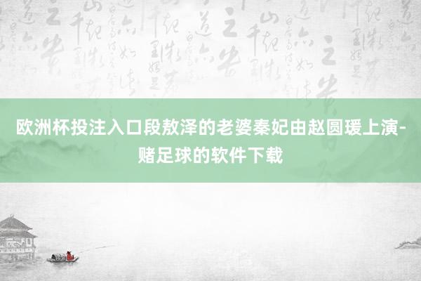 欧洲杯投注入口段敖泽的老婆秦妃由赵圆瑗上演-赌足球的软件下载