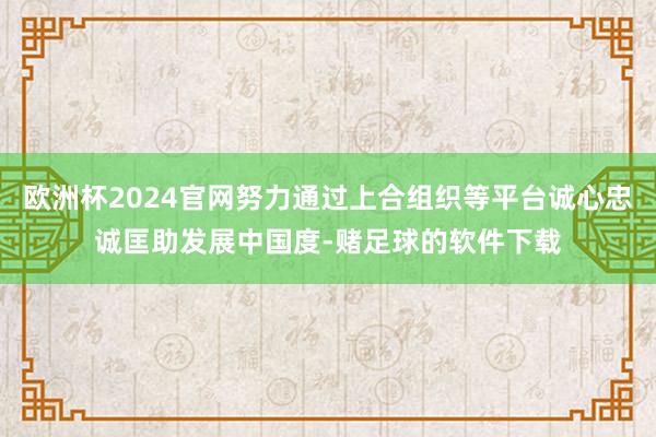 欧洲杯2024官网努力通过上合组织等平台诚心忠诚匡助发展中国度-赌足球的软件下载