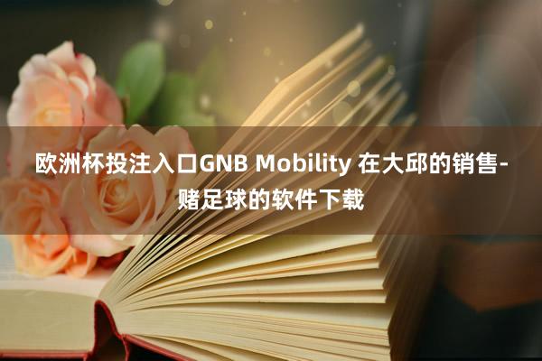 欧洲杯投注入口GNB Mobility 在大邱的销售-赌足球的软件下载