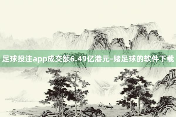 足球投注app成交额6.49亿港元-赌足球的软件下载