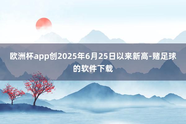 欧洲杯app创2025年6月25日以来新高-赌足球的软件下载