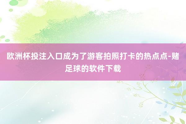 欧洲杯投注入口成为了游客拍照打卡的热点点-赌足球的软件下载