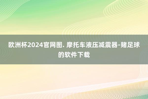 欧洲杯2024官网图. 摩托车液压减震器-赌足球的软件下载