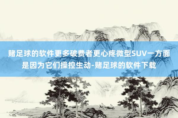 赌足球的软件更多破费者更心疼微型SUV一方面是因为它们操控生动-赌足球的软件下载