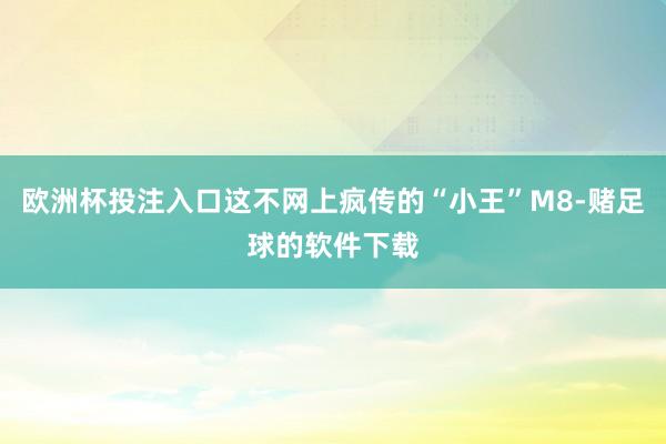 欧洲杯投注入口这不网上疯传的“小王”M8-赌足球的软件下载