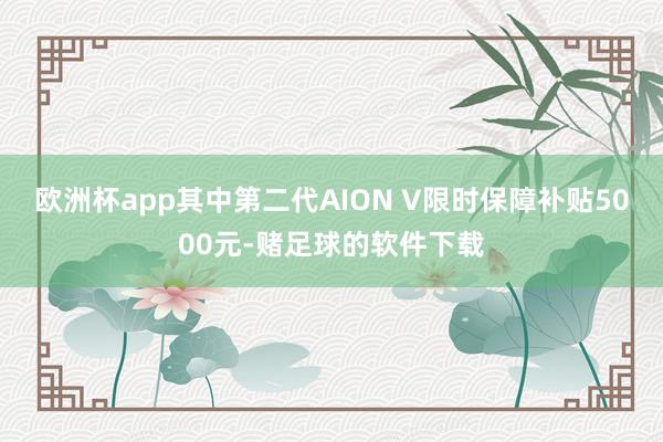 欧洲杯app其中第二代AION V限时保障补贴5000元-赌足球的软件下载