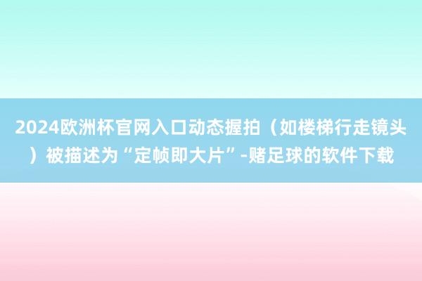 2024欧洲杯官网入口动态握拍（如楼梯行走镜头）被描述为“定帧即大片”-赌足球的软件下载